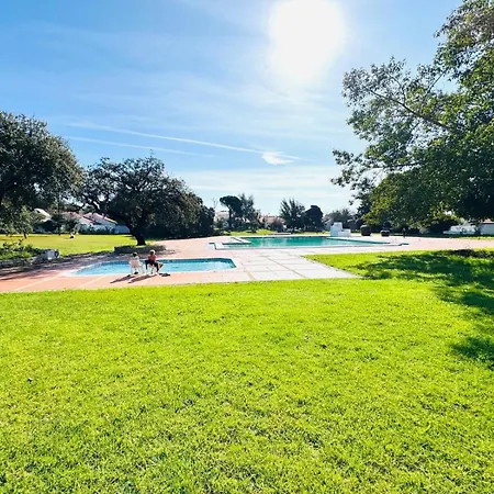 Oura 알부페이라